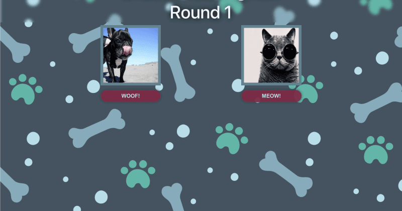 Woof Vs. Meow: Data Fetching and React Component Lifecycle
